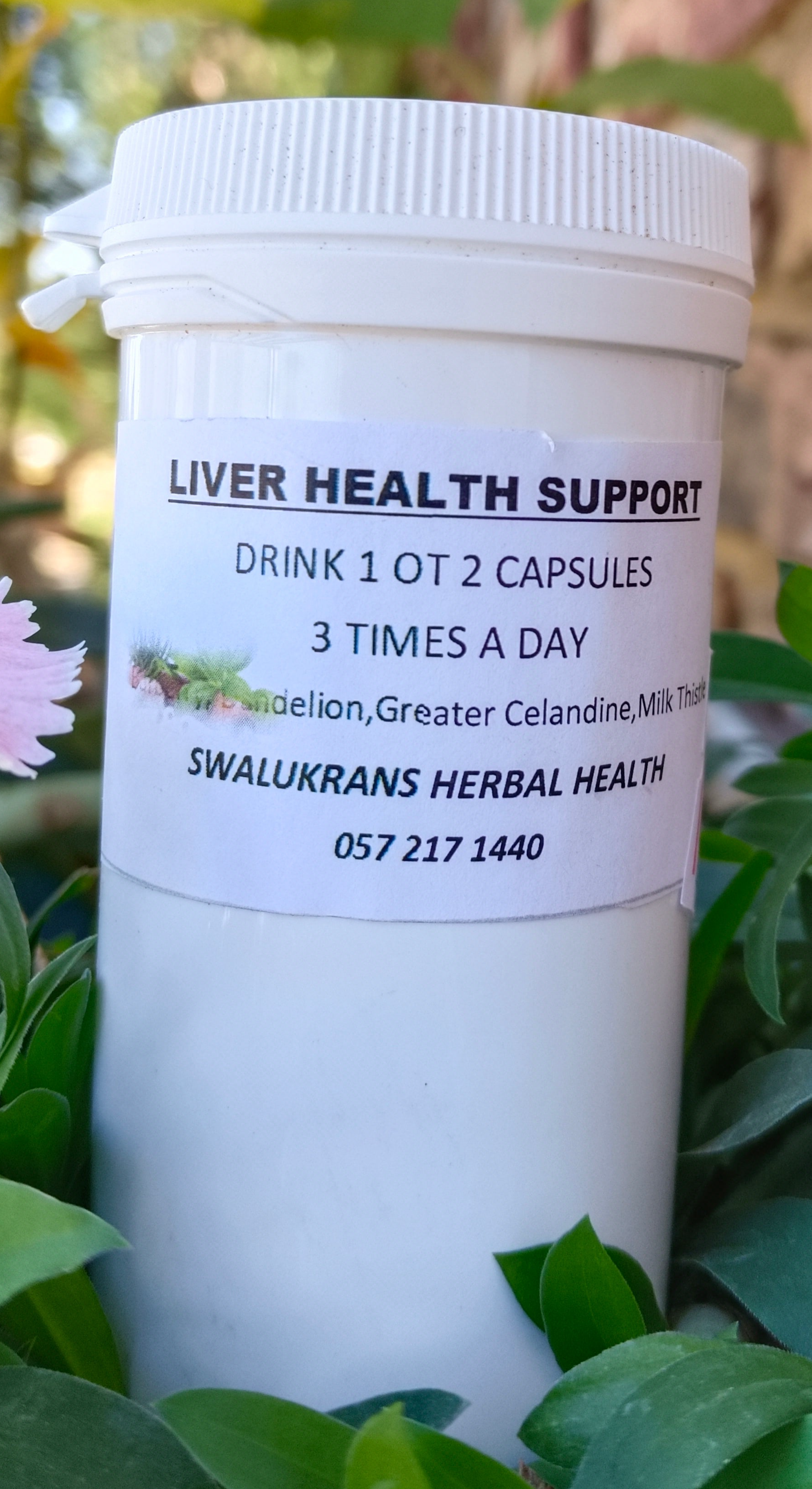 Liver Health Support 120 capsules